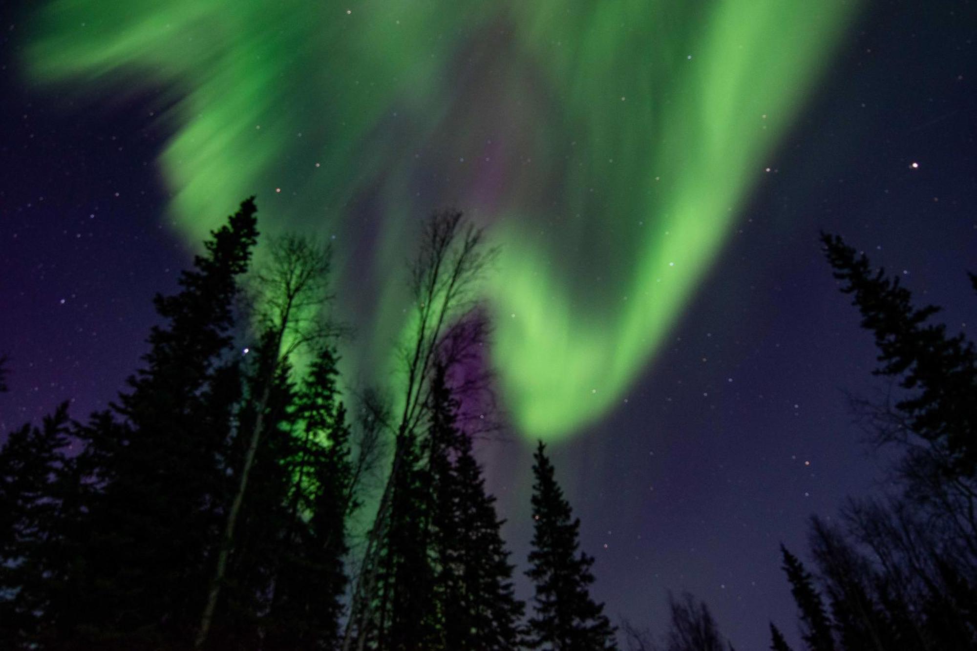 Riverside Log Cabin On-Site Aurora Viewing! North Pole Exterior photo
