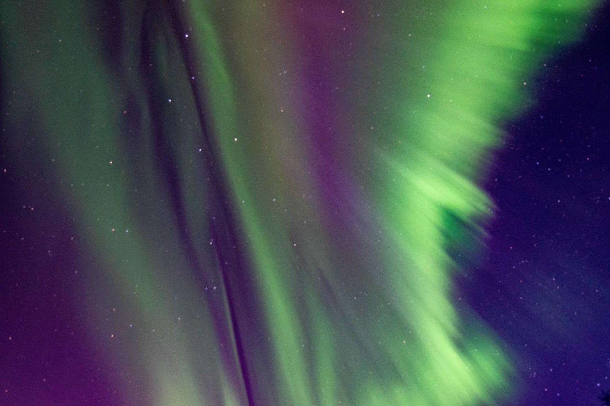 Riverside Log Cabin On-Site Aurora Viewing! North Pole Exterior photo